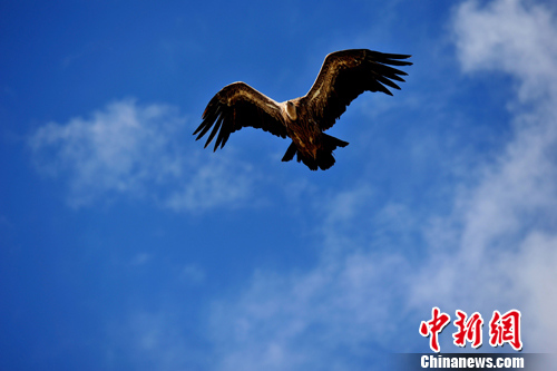 ������ԭͺ�հ��裨2��