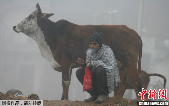 ����̺������ӡ�Ȳ��ϼӶ�