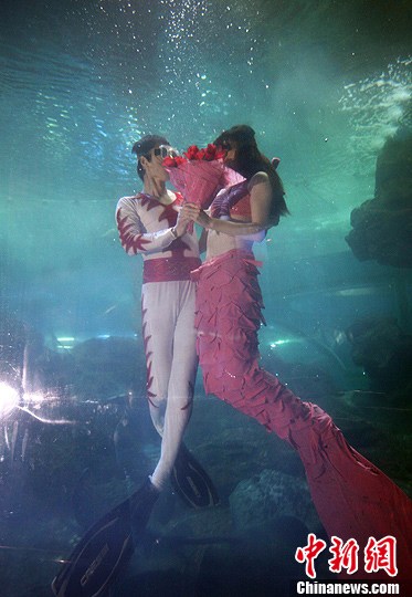 "美人鱼"与"王子"水中甜蜜共舞度情人节(2)