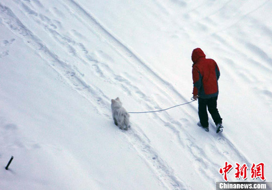 点图查看下一页