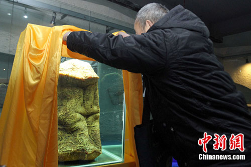 3只神秘"太岁"亮相武汉奇石馆