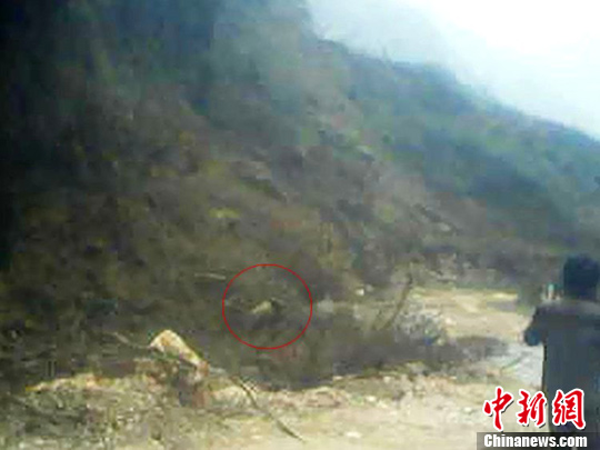 点图查看下一页