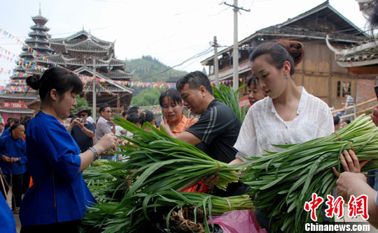 广西侗族乡村"韭菜节" 优质韭菜打擂评比(4)