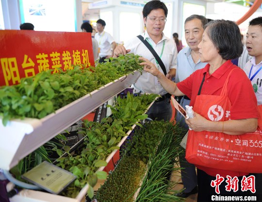 点图查看下一页