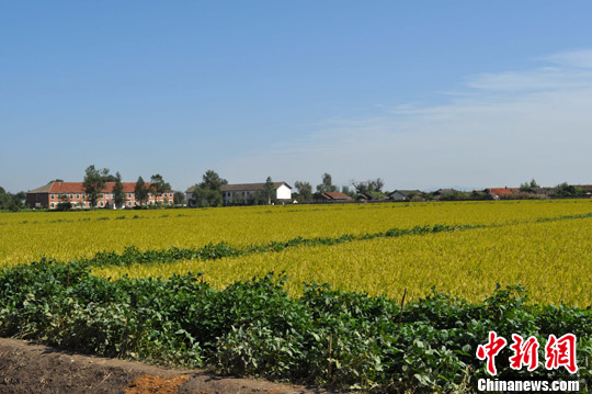 中朝合作共管"黄金坪"岛开发工作正式启动(2)