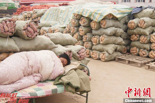 冬储菜滞销 老传统渐远