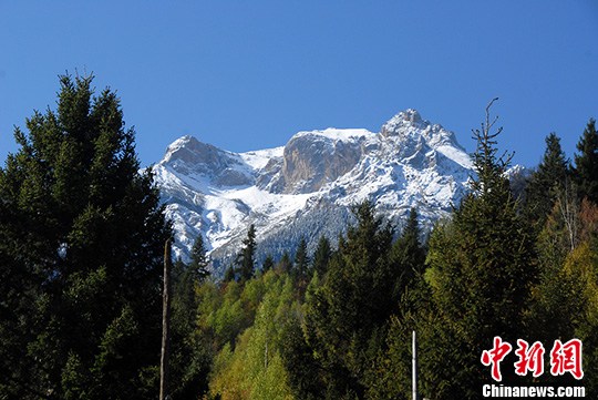 五月中旬,位于甘肃迭部县境内的虎头山山顶被皑皑白雪覆盖,显得