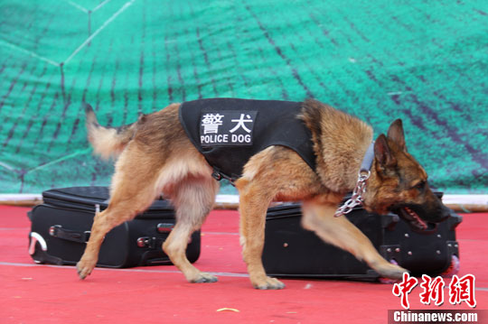 点图查看下一页