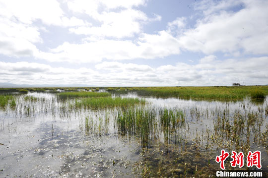 点图查看下一页