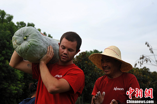 点图查看下一页
