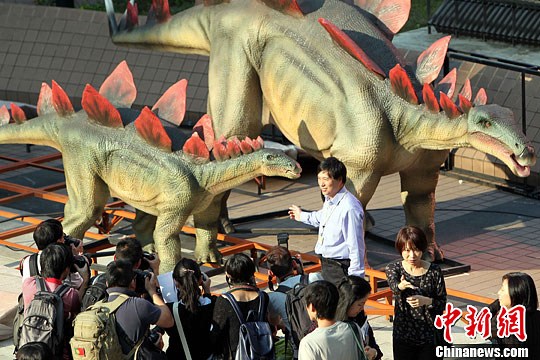 点图查看下一页