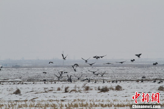 点图查看下一页