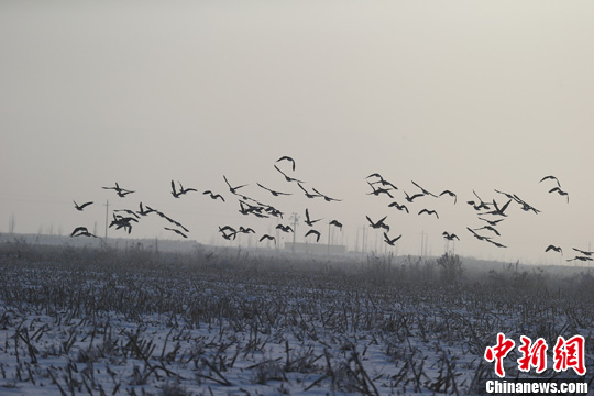 点图查看下一页