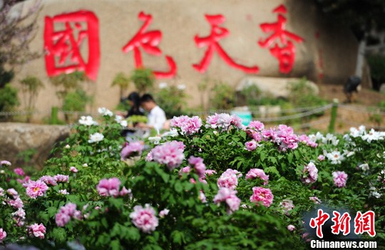 点图查看下一页