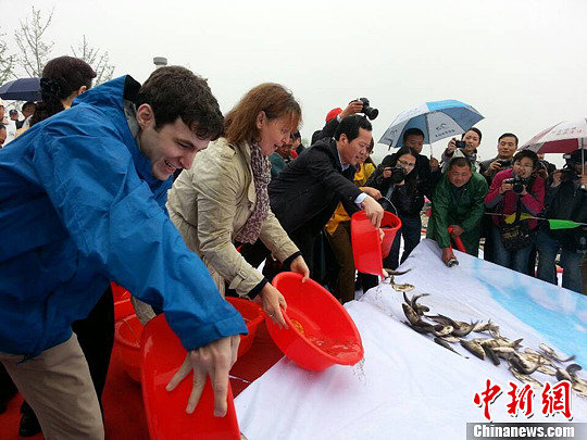 点图查看下一页