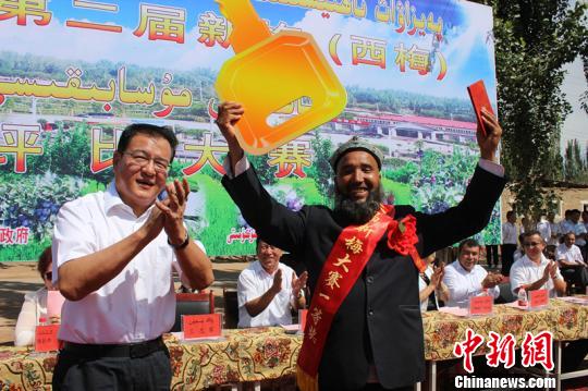 新疆伽师县举办西梅评比大赛冠军获奖三轮车