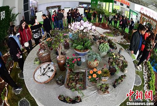 ����֪��������ľ��ҵ�״�����Ϸ��罻��