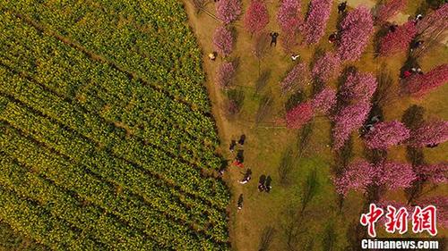 ����ʮ���̲ʪ�ع�԰����Ũ