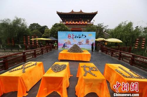 ���Ͽ��������Ϻ�԰��ö�������ο�