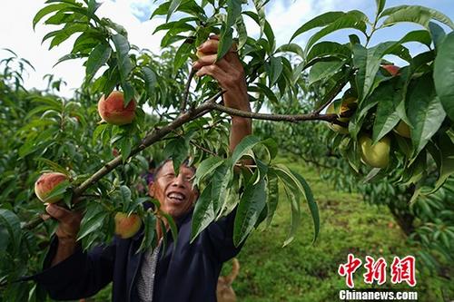 ����������񹲽�ʯĮɽ��Ķ��԰���¸���