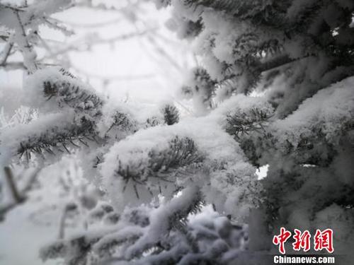 ��������ѩ������ڡ��������֦��������ʮ����