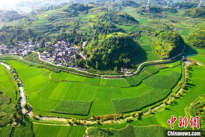 贵州黔西：夏日田园绿意盎然