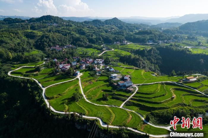 重庆万州：盛夏田野绿意盎然