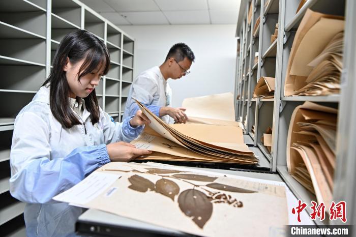 港澳大学生走进华南国家植物园开展实习活动