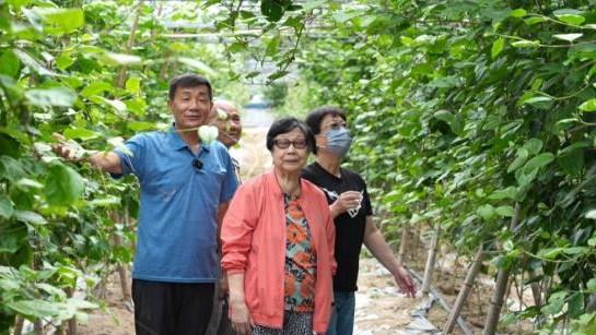 平潭打造新节目搭建连心桥共画同心圆