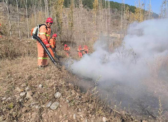 山东源泉:全面筑牢森林防火安全“防线”