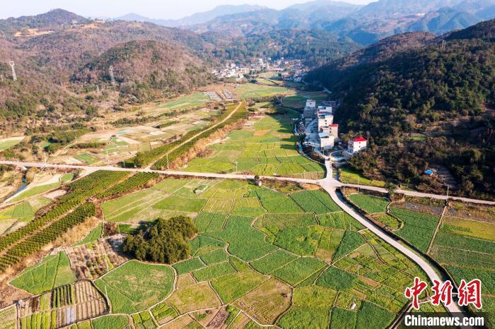 贵州从江:冬日田园绿意盎然