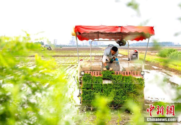 江苏盱眙：水稻插秧全面展开