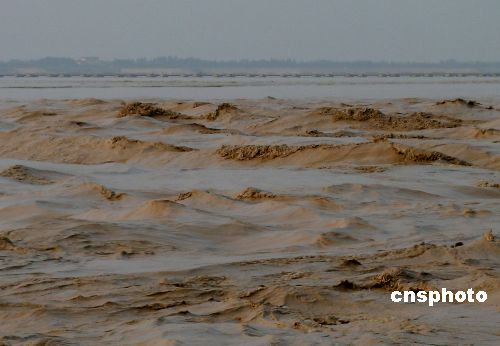 图:黄河调水调沙让3.6亿吨泥沙奔流入海