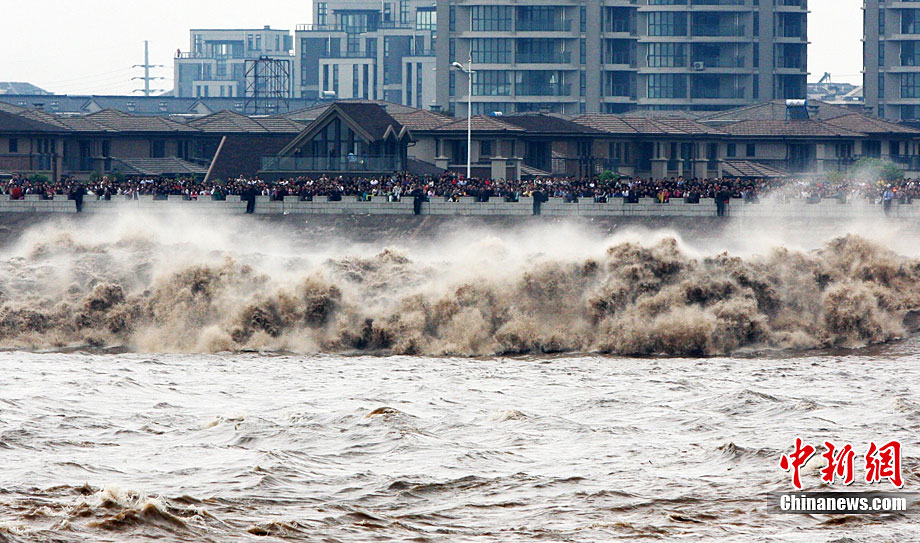 近八年最大钱江潮涌如约而至
