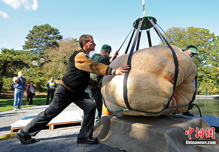 世界最大南瓜重达8212公斤