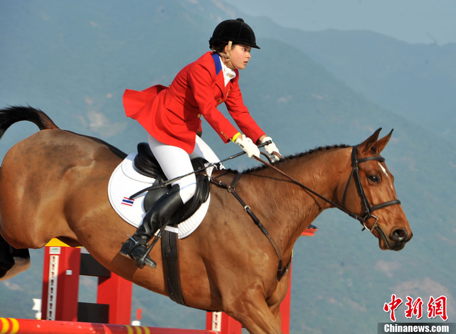 泰国美女骑手驾驭爱马获佳绩