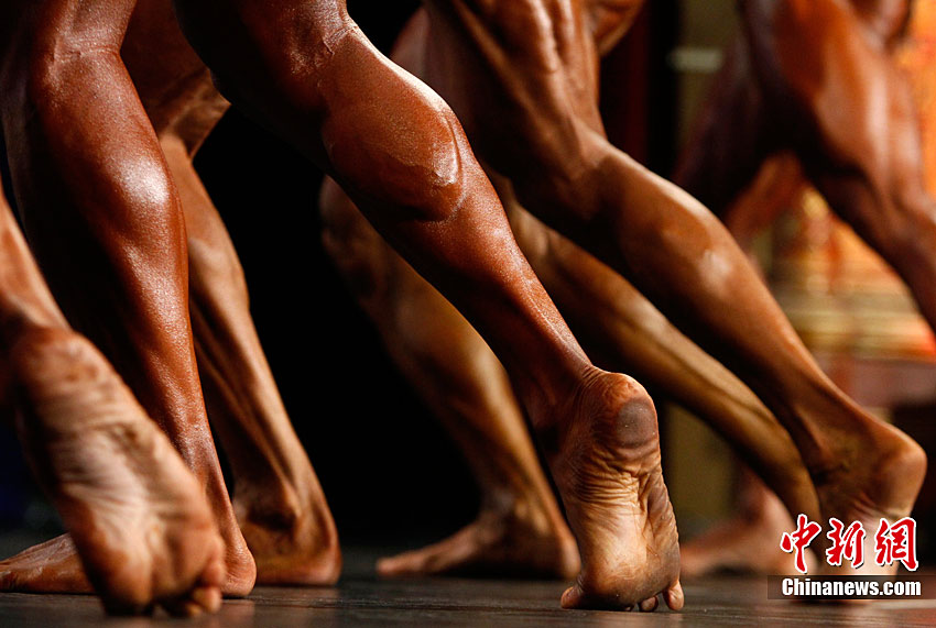 布达佩斯举行男子古典健美锦标赛