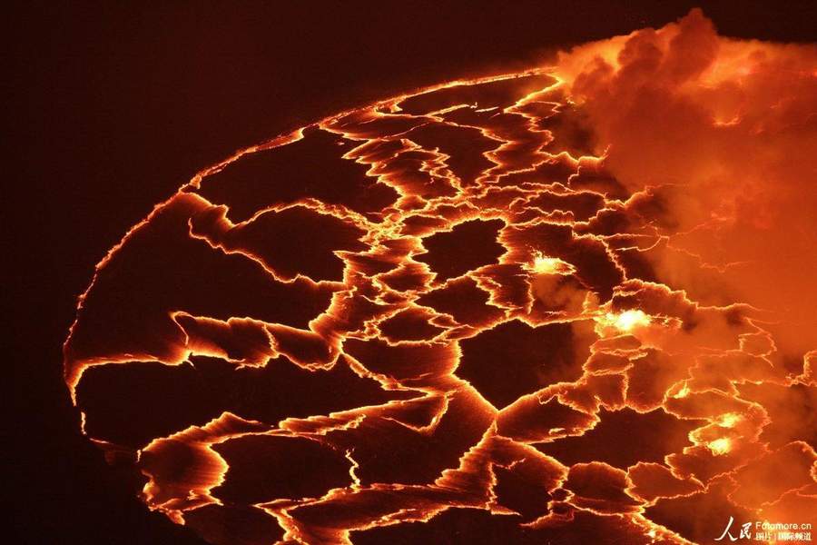 美联社年度最佳图片动荡的世界