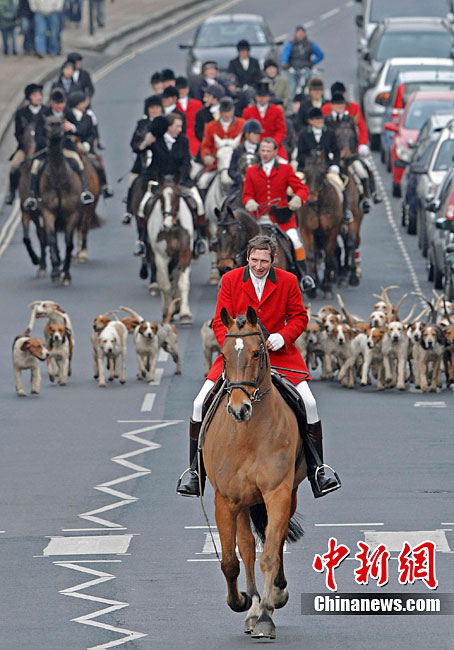 英国举行节礼日狩猎活动
