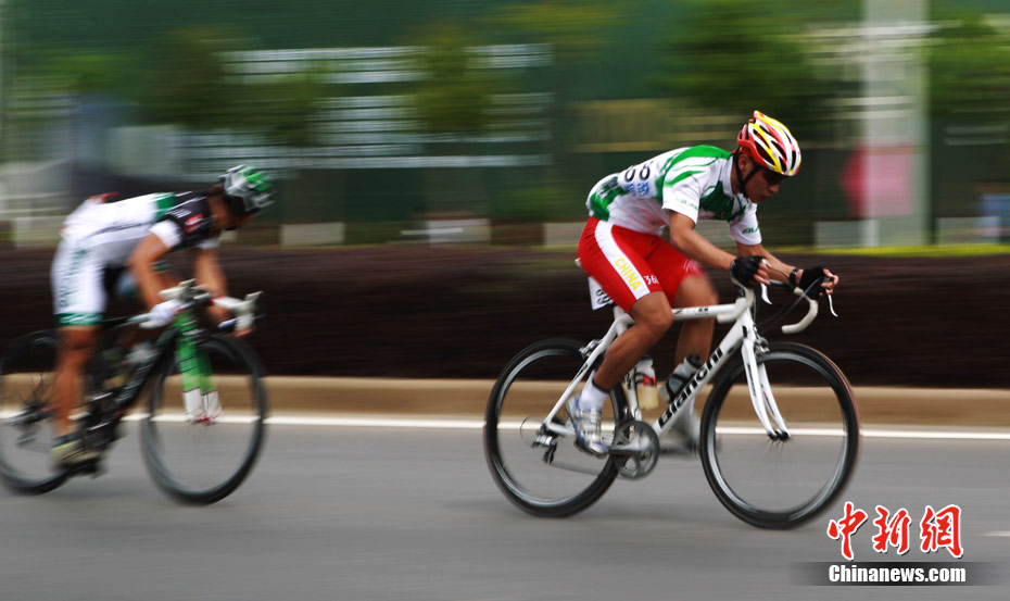 2011��ȫ����·���г���������������