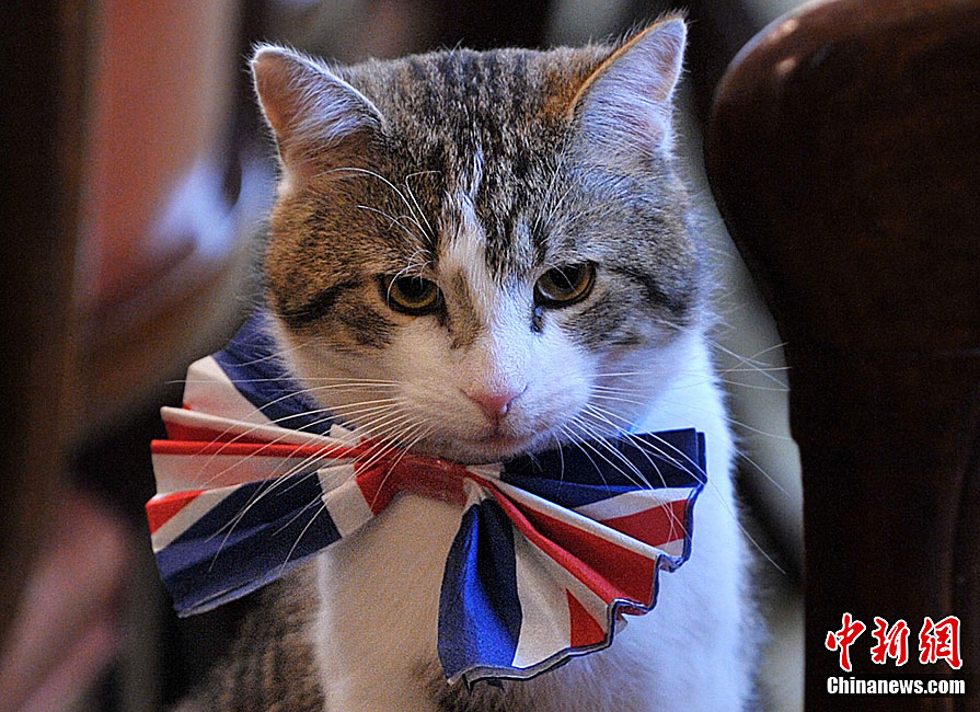 Ӣ����һèմϲ�����������ᾢʮ��