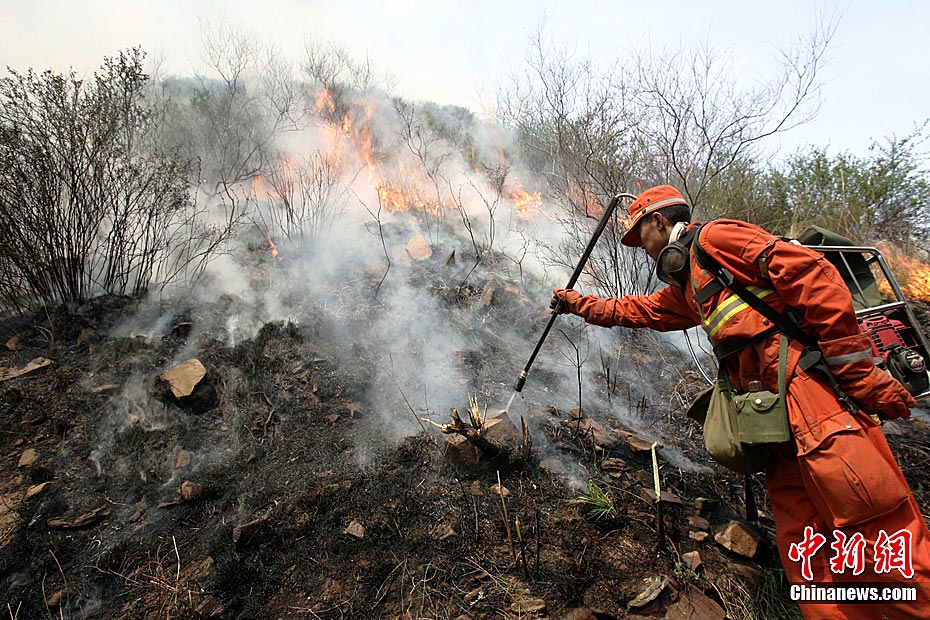 ɽ����������Ȫ���紦ɭ�ֻ��ֻ�������