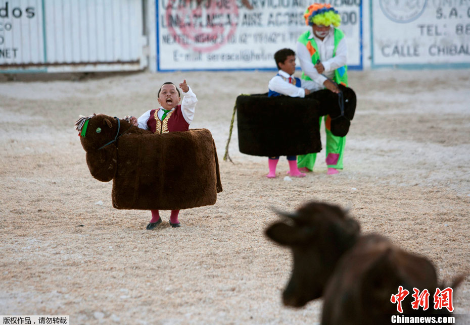 墨西哥马戏团另类斗牛侏儒斗牛犊