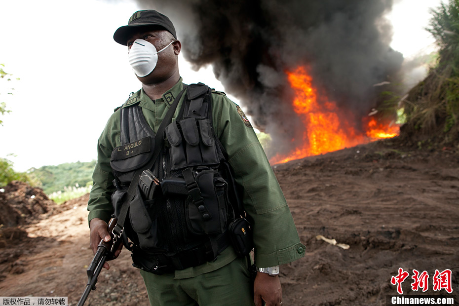 巴拿马警方集中焚毁近3吨毒品