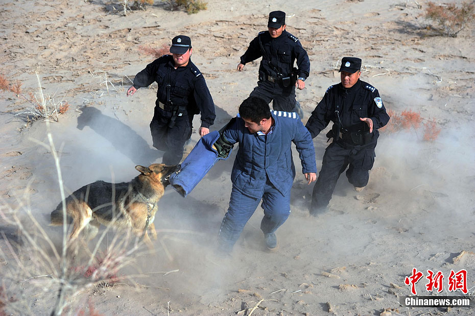 新疆南疆某监狱戈壁大漠中举行处突演练