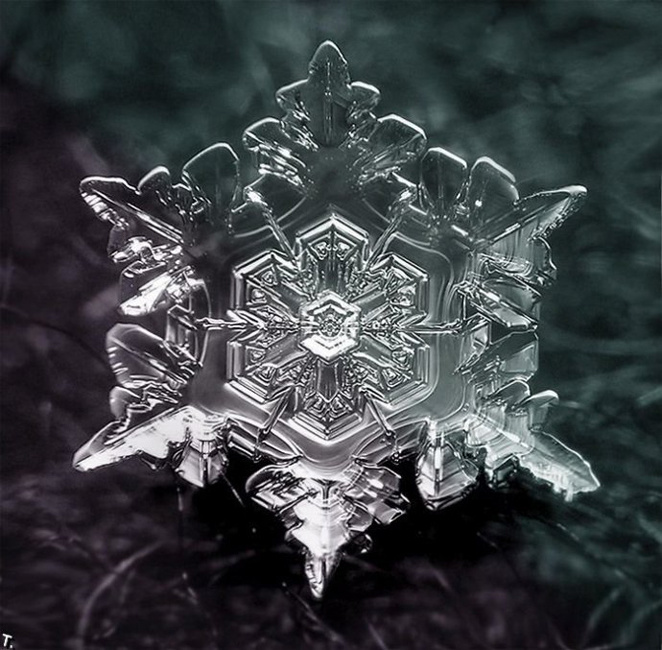 让微小的雪花现形 原来她长这样