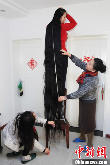 山西一女士头发长2.53米 欲申请"吉尼斯之最"