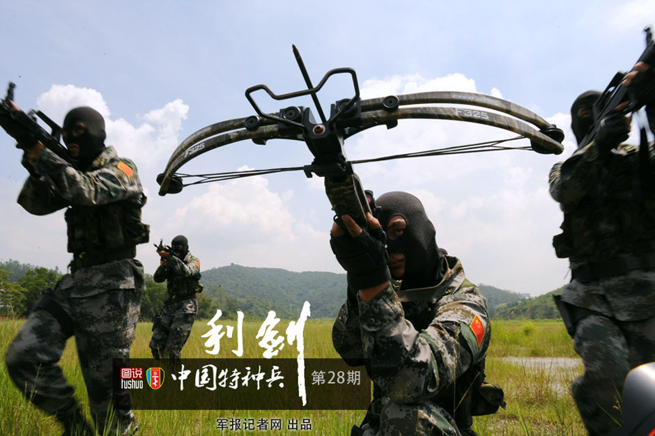 中国神剑特种部队图片