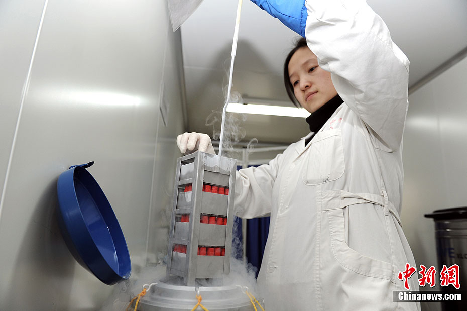 图文:探访中国西北首家精子库