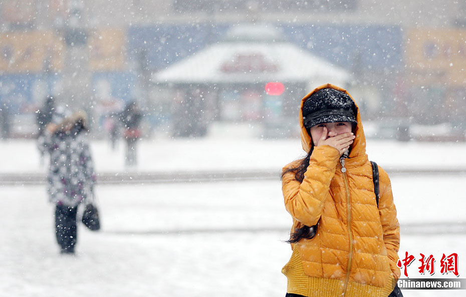 冰城倒春寒出现雨夹雪天气